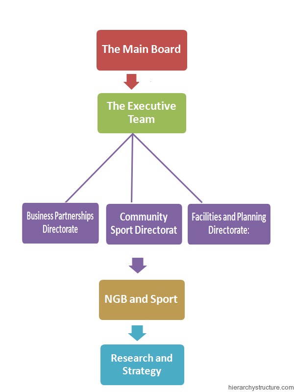 Sports Team Hierarchy Sports Team Hierarchy