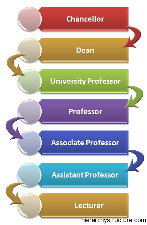 Academic Career Hierarchy Academic Career Hierarchy