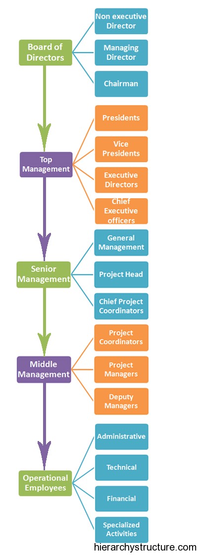 Business Employee Hierarchy Business Employee Hierarchy
