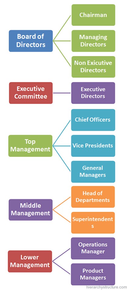 Business Organization Hierarchy Business Organization Hierarchy
