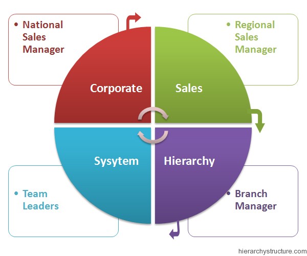 Corporate Sales Hierarchy Corporate Sales Hierarchy