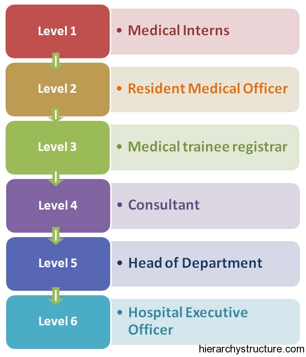 Medical Career Hierarchy Medical Career Hierarchy