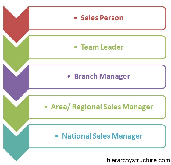 Sales Career Hierarchy Sales Career Hierarchy