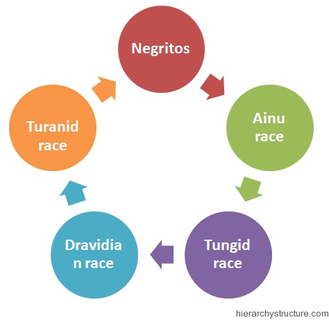 Asian Racial Hierarchy Asian Racial Hierarchy