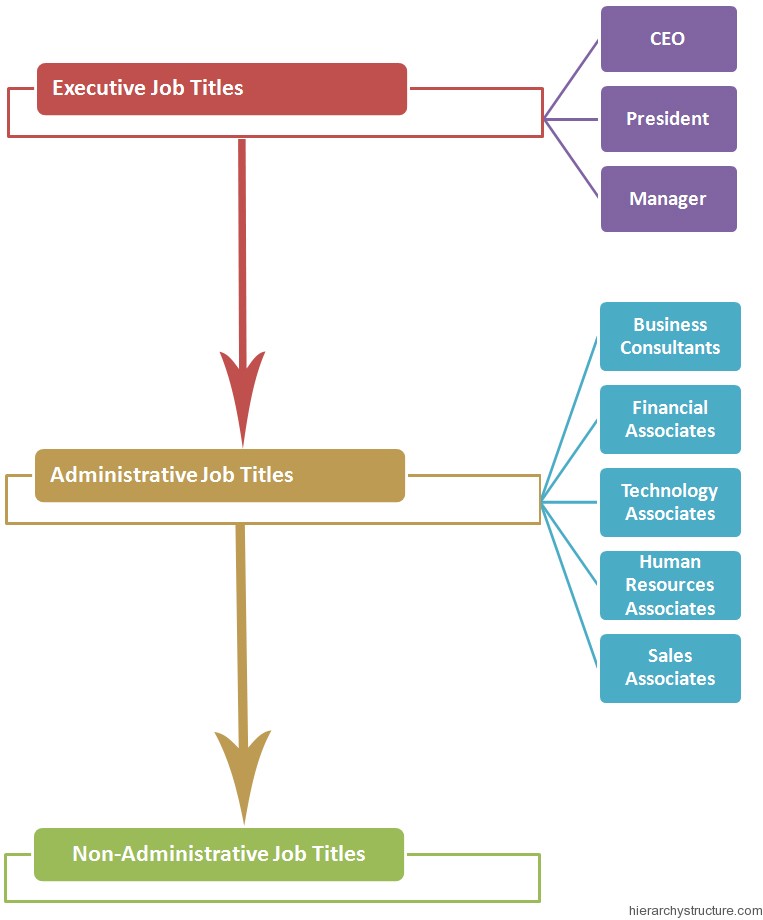 Business Jobs Hierarchy Business Jobs Hierarchy