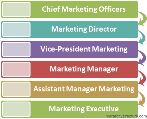 Marketing Corporate Hierarchy Marketing Corporate Hierarchy