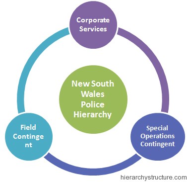 New South Wales Police Hierarchy1 New South Wales Police Hierarchy1