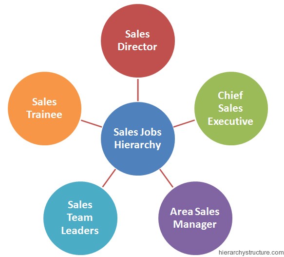 Sales Jobs Hierarchy Sales Jobs Hierarchy