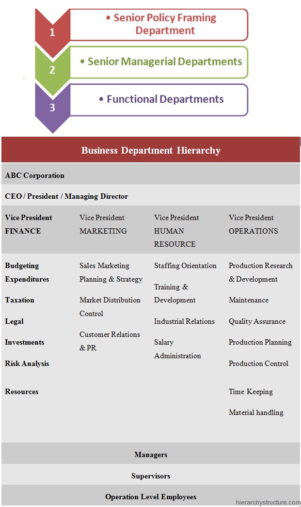 Business Department Hierarchy Business Department Hierarchy