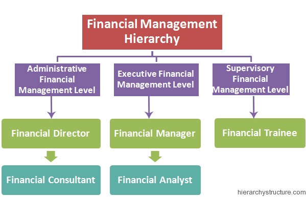 Financial Management Hierarchy Financial Management Hierarchy