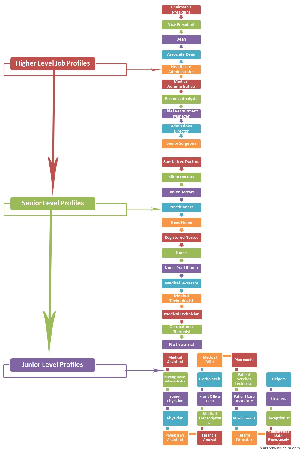 Hierarchy of Medical Jobs Hierarchy of Medical Jobs