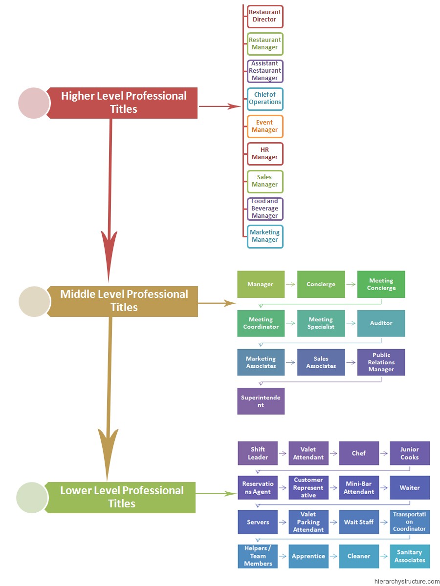 Hierarchy of Restaurant Jobs Hierarchy of Restaurant Jobs