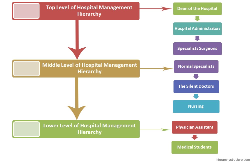 Hospital Management Hierarchy Hospital Management Hierarchy