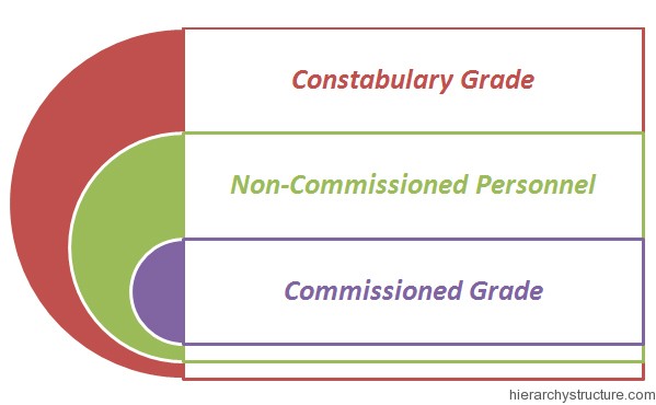 New South Wales Police Hierarchy New South Wales Police Hierarchy