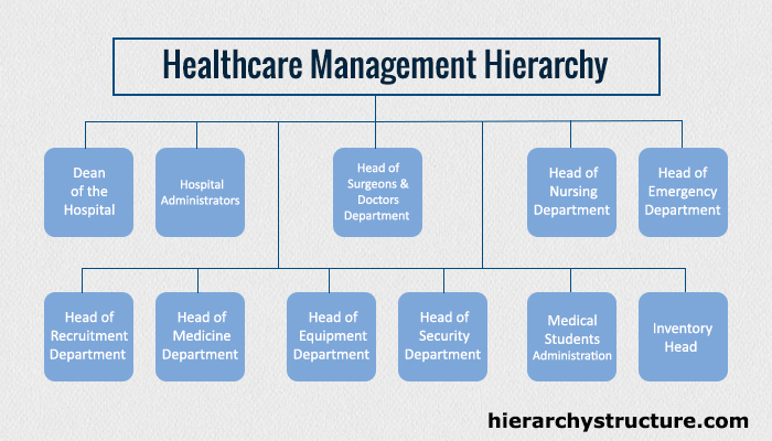 Healthcare Management Hierarchy
