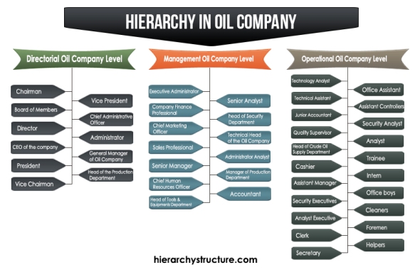 Hierarchy in Oil Company 