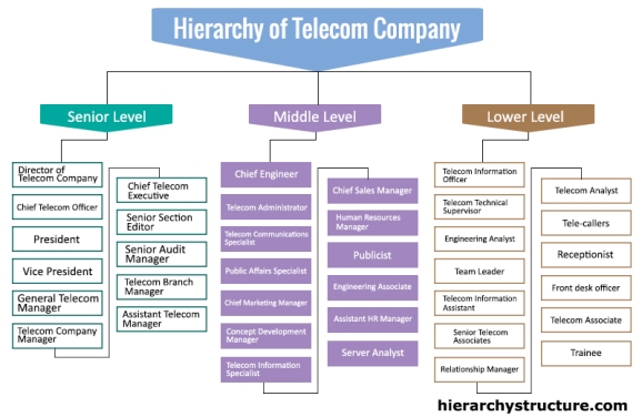 Hierarchy of Telecom Company