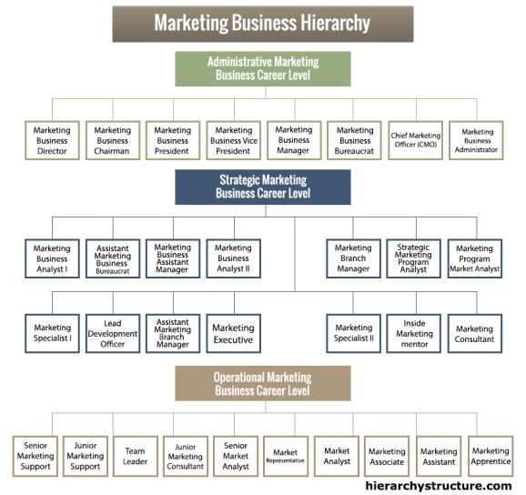 Marketing Business Hierarchy