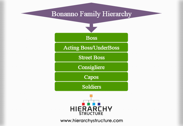 Gambino Hierarchy Chart