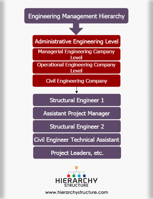 Engineering management hierarchy