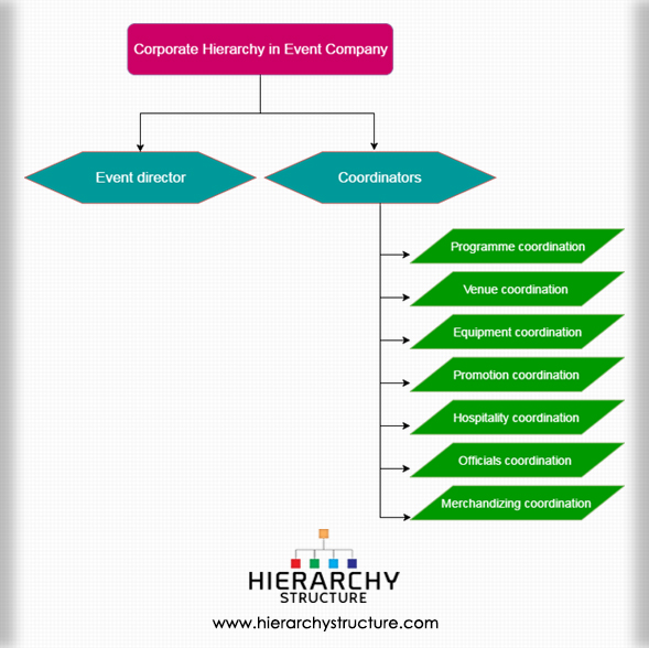 Corporate Hierarchy in Event Company