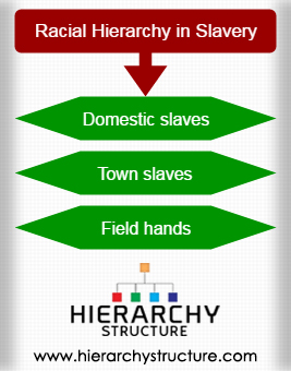 Racial Hierarchy in Slavery
