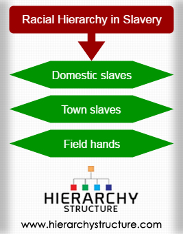 Racial Hierarchy in Slavery