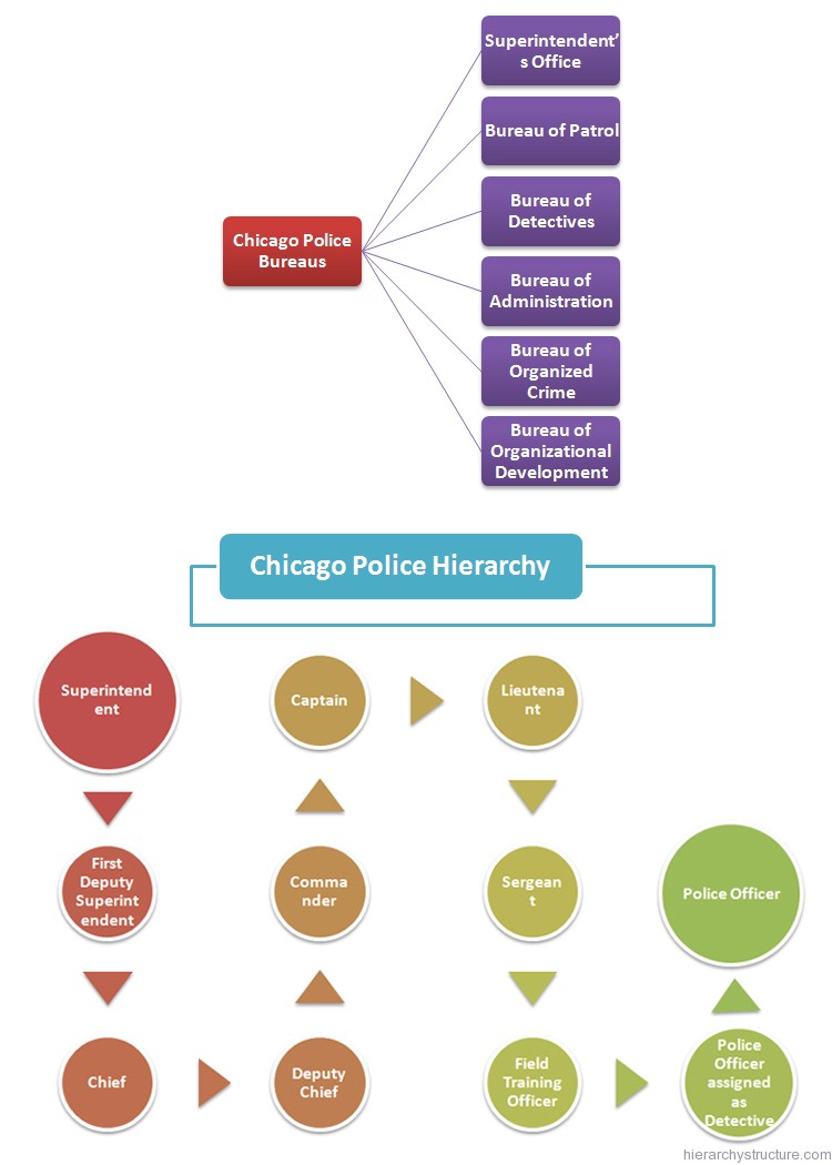 Police Officer Rank Chart