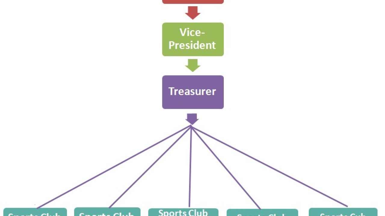 Organizational Chart For Sports Organization