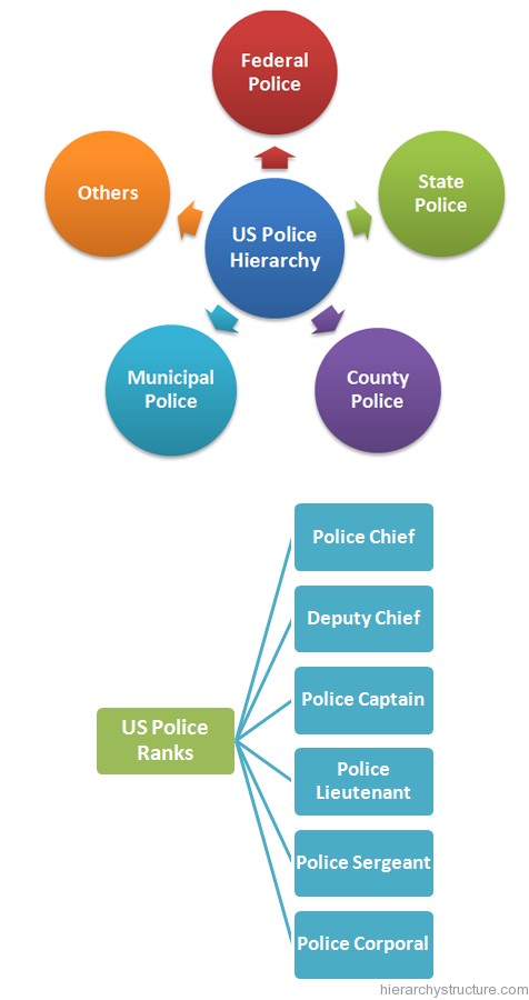 Hierarchy Of Law Enforcement Chart