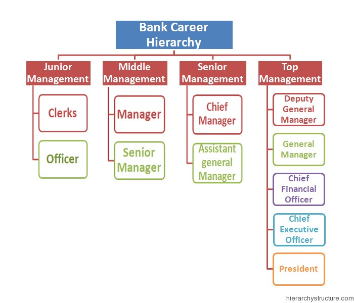 Accounting Position Hierarchy Chart