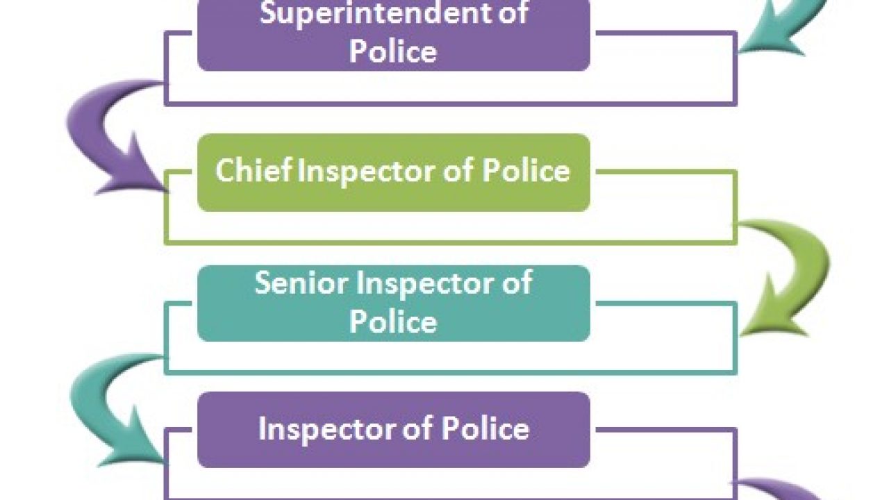 Hong Kong Police Force System Hierarchy Hierarchy Structure