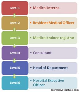 hierarchy interns designations hierarchystructure