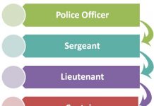 Police Rank Hierarchy in South Africa | Hierarchy Structure