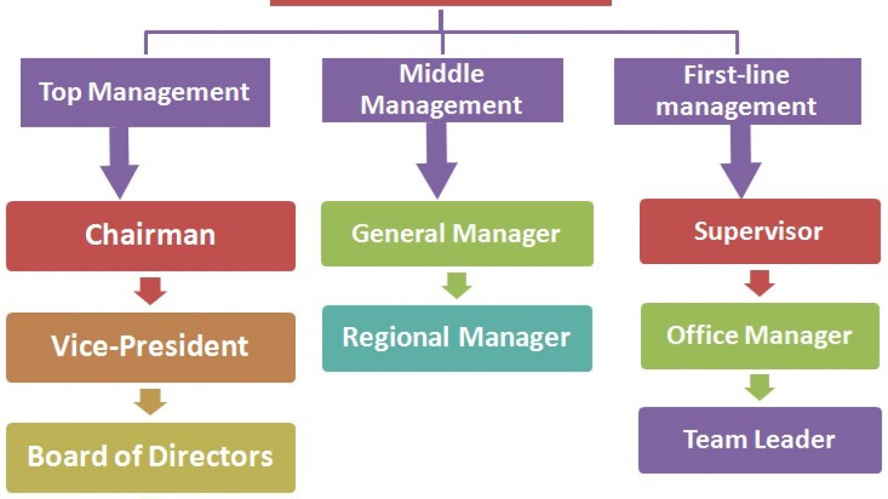 Ответы in company. Management Hierarchy. Мидл-менеджмент это. In Company. First line Manager.