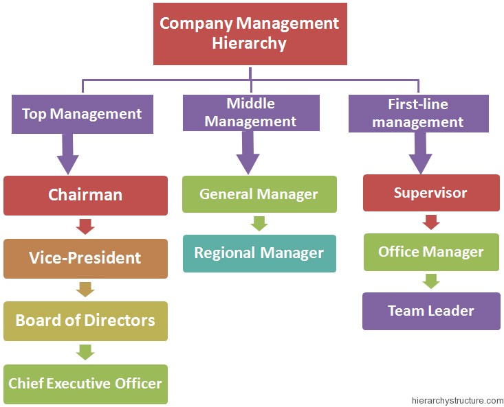 Top Management Hierarchy Chart