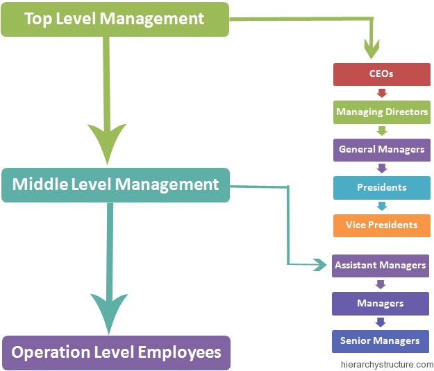 Top Management Hierarchy Chart