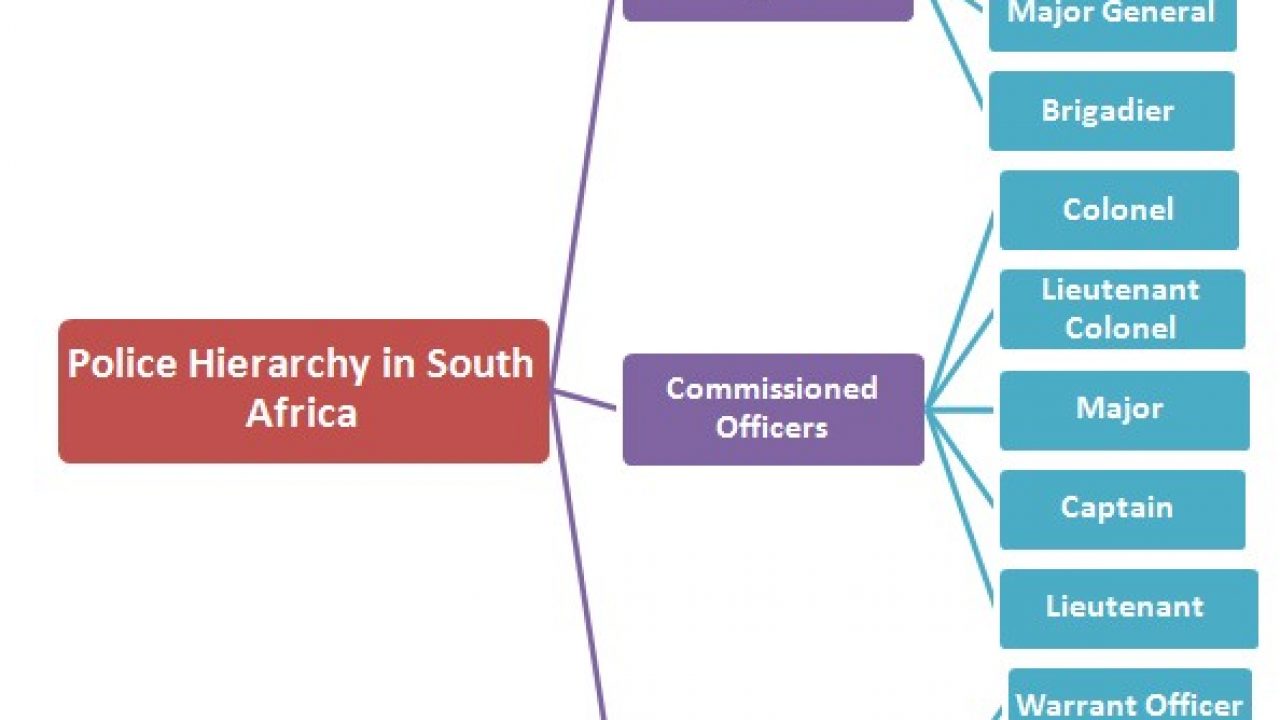 Sapd Organizational Chart