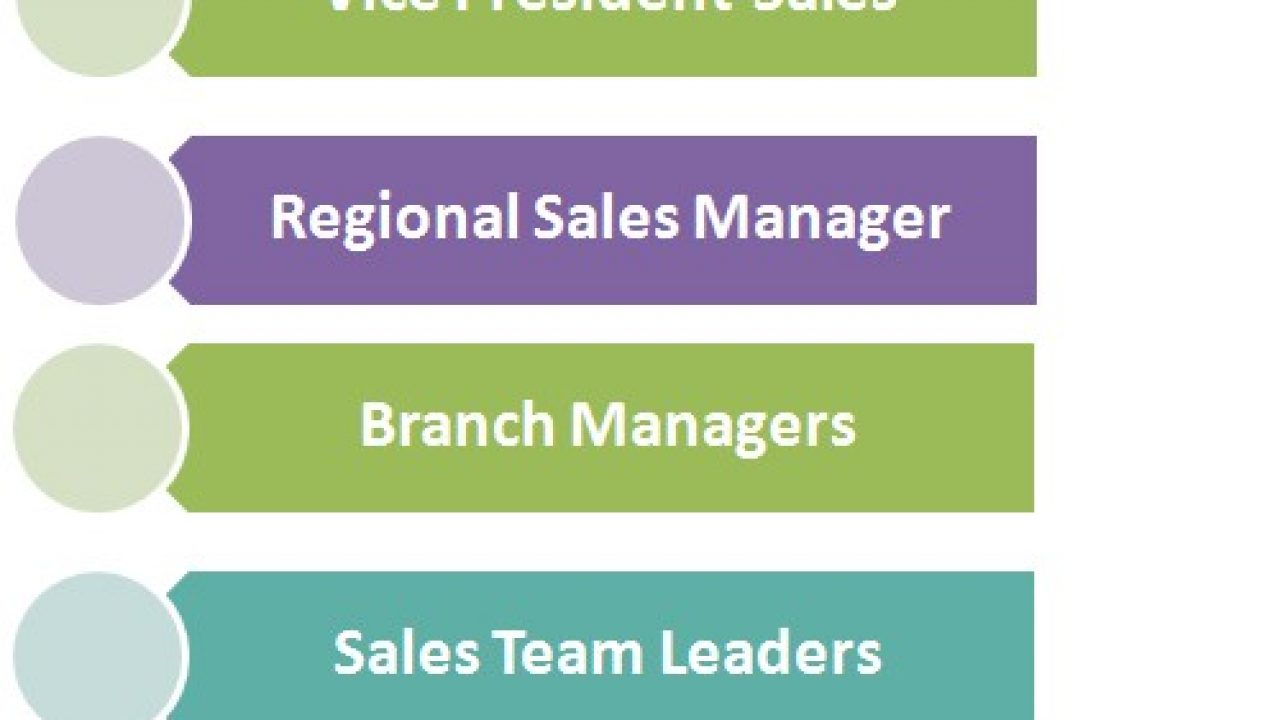 Sales Management Job Titles Hierarchy | Hierarchy Structure