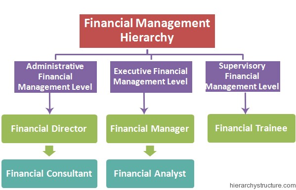 Financial Management Hierarchy | Hierarchystructure.com