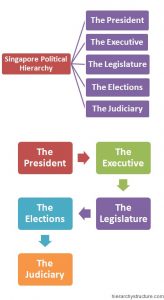 hierarchy judiciary elections legislature