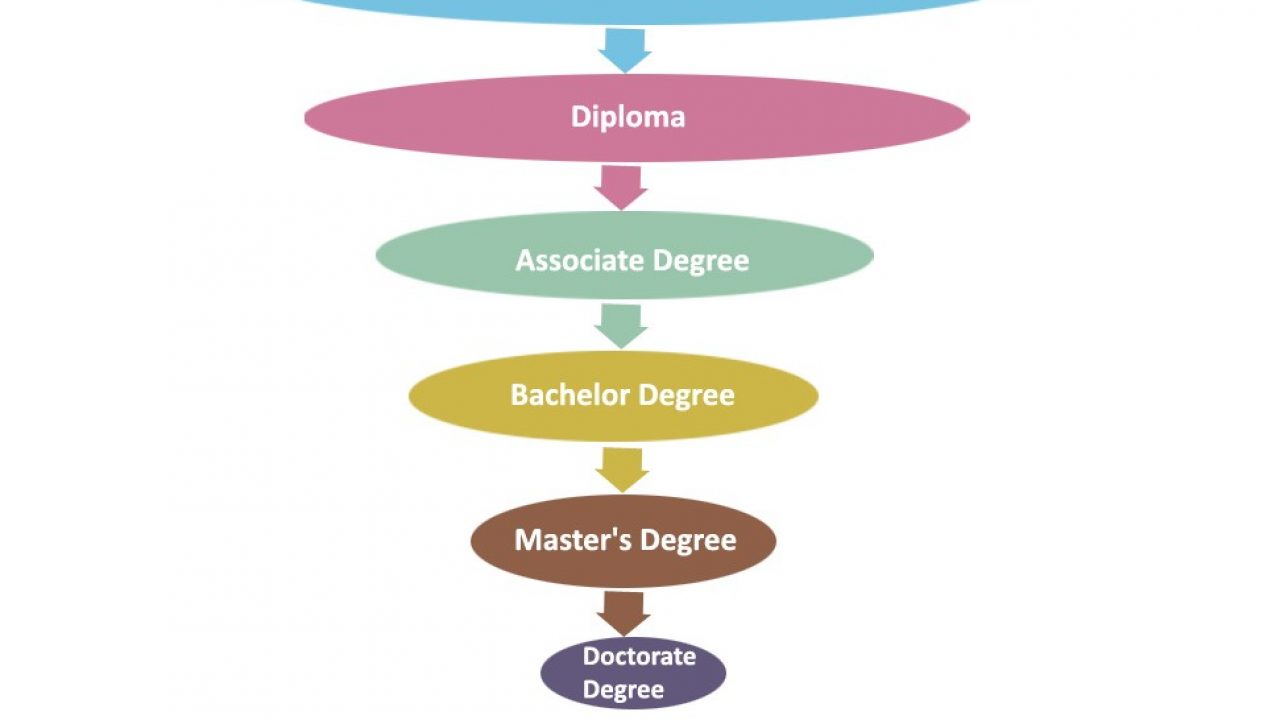 Education Degree Hierarchy Chart | Hierarchystructure.com