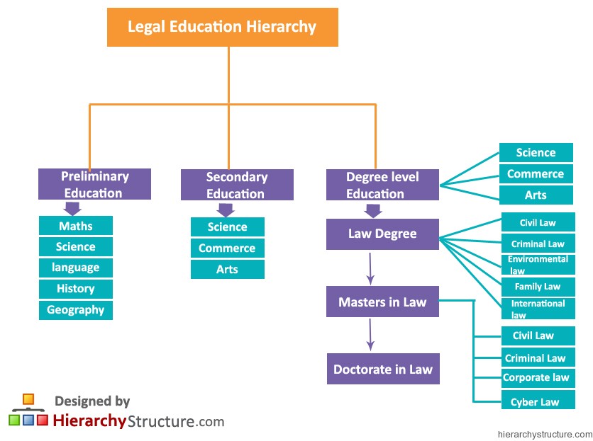 Legal Education Hierarchy | Hierarchystructure.com