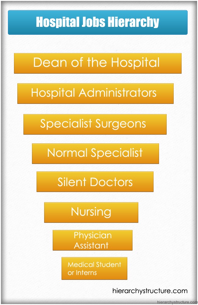 The different jobs in a hospital