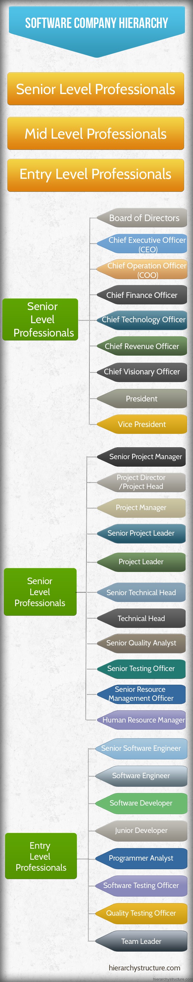 Pvt Ltd Company Designation Chart