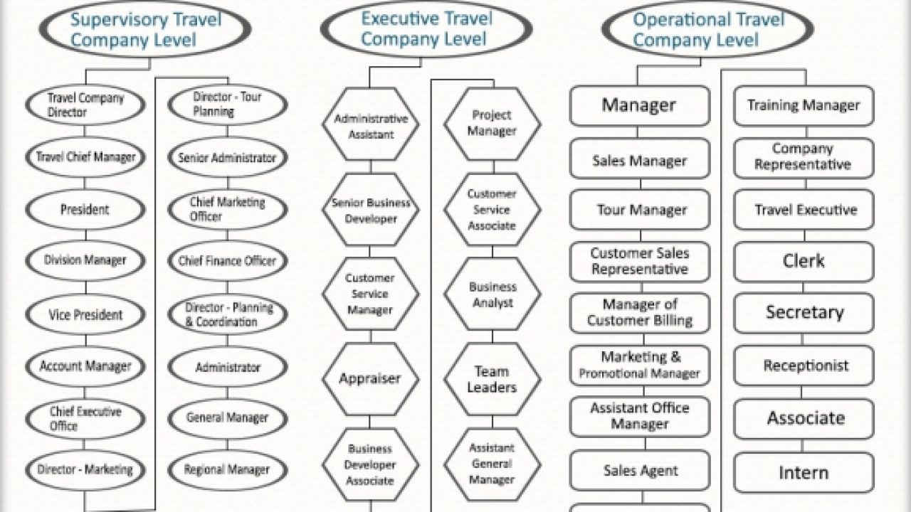 Pvt Ltd Company Designation Chart