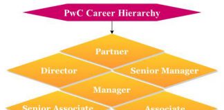 career hierarchy pwc path