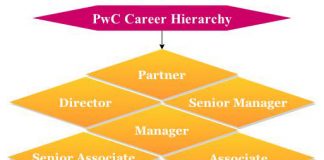 career hierarchy pwc path