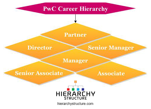 Career Tree Chart