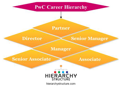 Pwc Org Chart